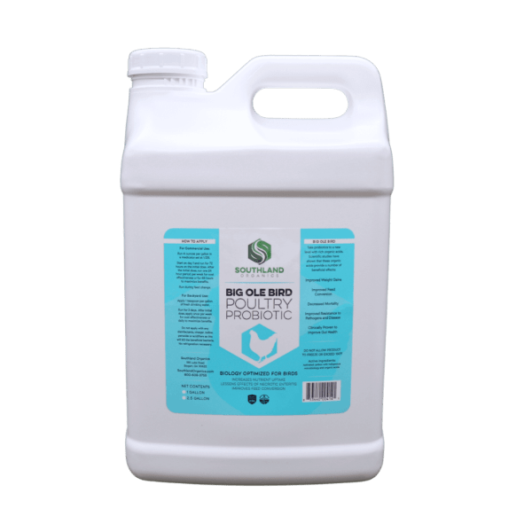 Big Ole Bird Poultry Probiotics 2.5 gal- Chickens' probiotics with beneficial bacteria